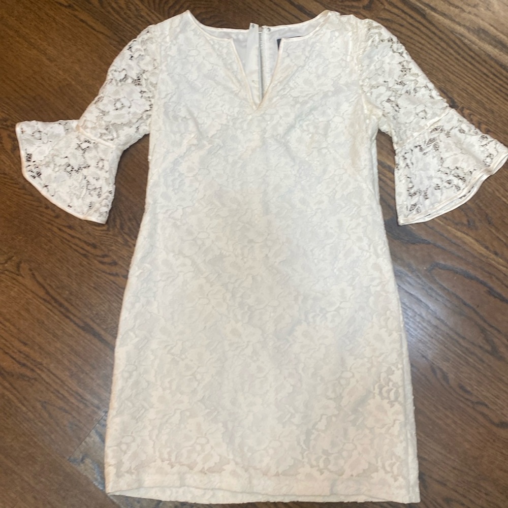 Adrianna Papell Lace Mother of the Bride or Bride Dress Size 4